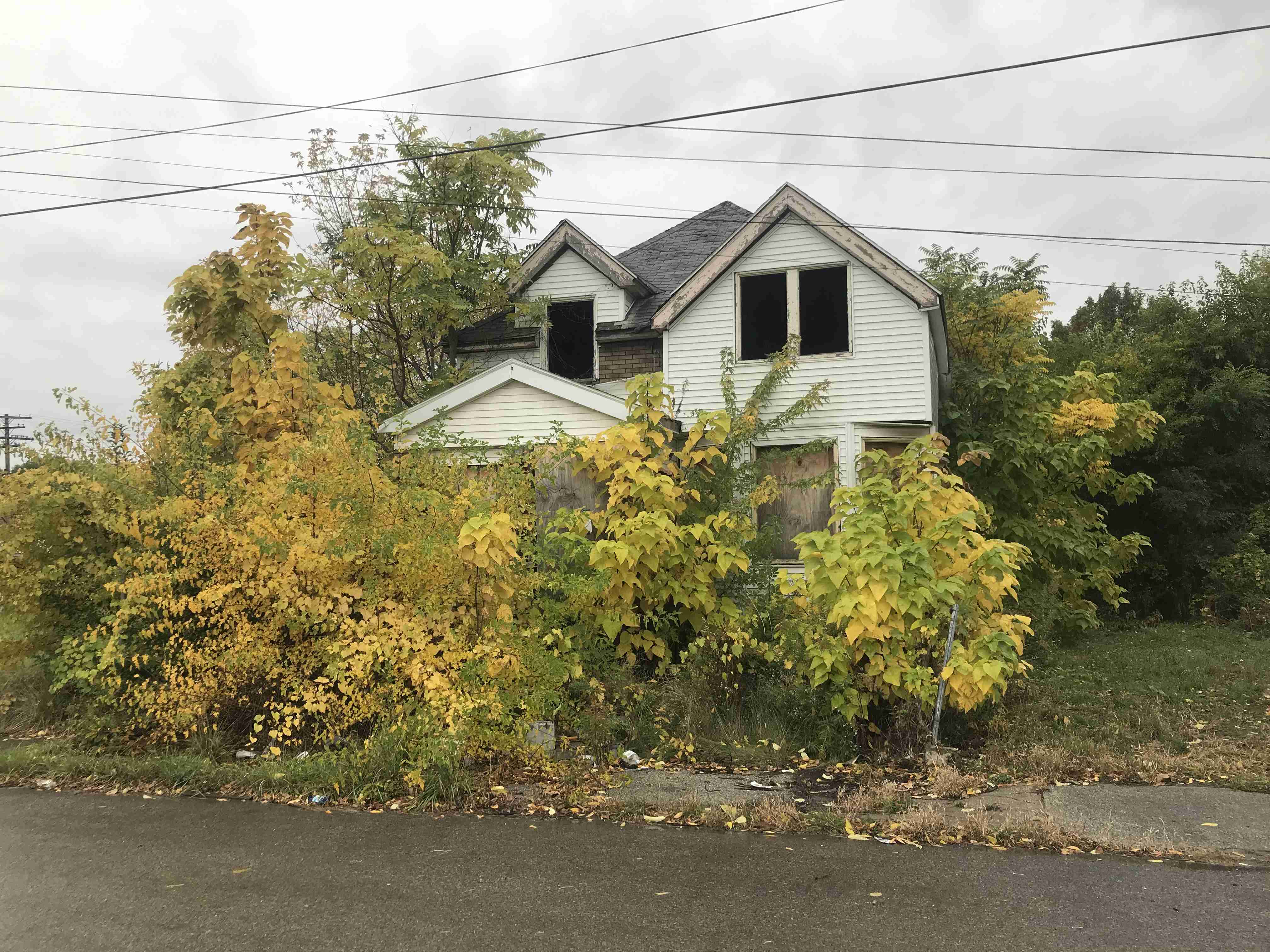 Photo Oct 15, 10 42 03 AM.jpg